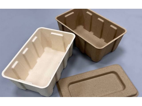 How Do Customized Molded Pulp Boxes Protect Fragile Products?